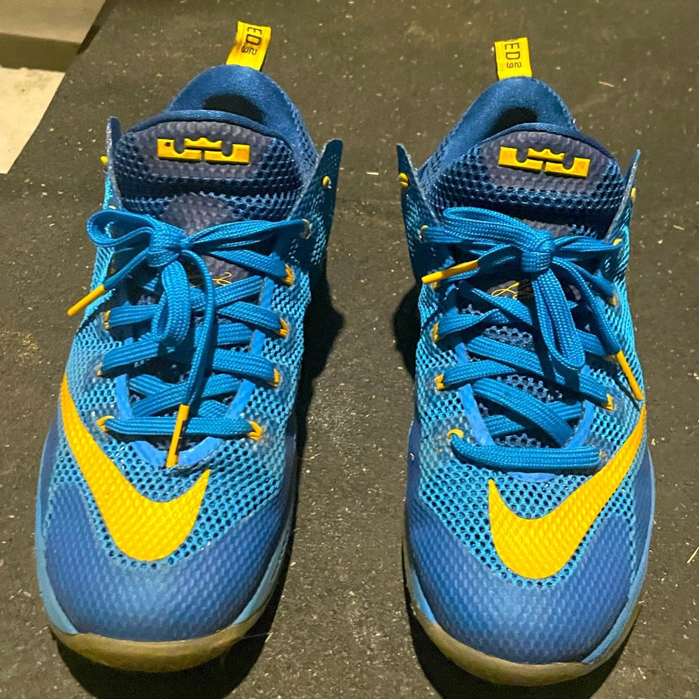Lebron Lows Sz 9